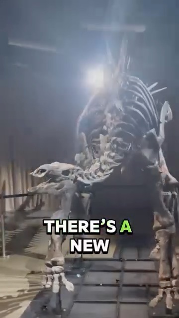 American Museum of Natural History