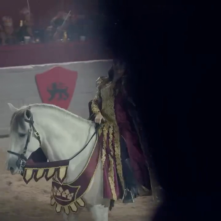 Medeival Times Dinner & Tournament