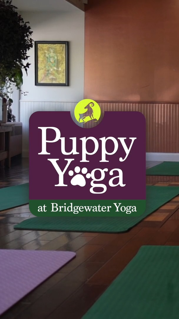 Halloween Puppy Yoga with Red Retrievers 🎃🐾