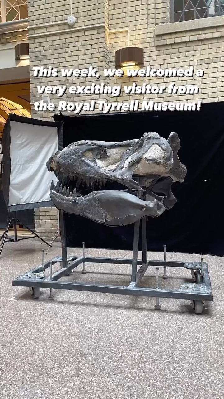 Royal Ontario Museum General Admission