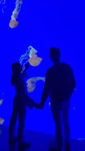 Ripley's Aquarium of Canada