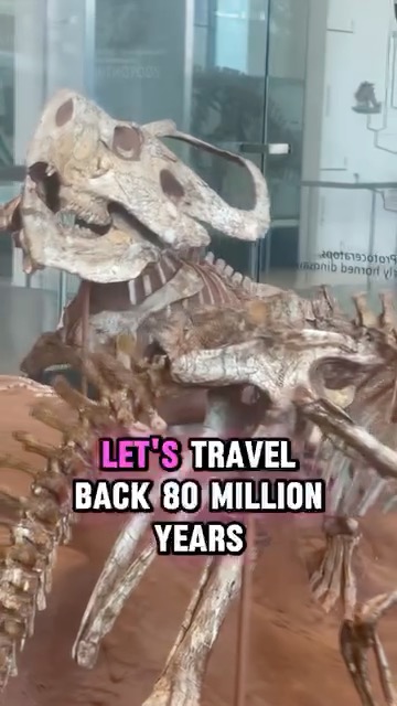 American Museum of Natural History