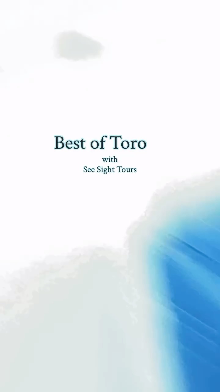 Best of Toronto Small Group Tour