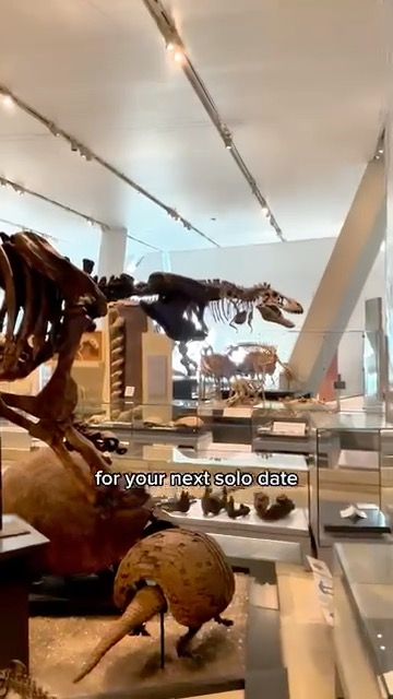 Royal Ontario Museum General Admission