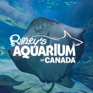 Ripleys Aquarium's profile picture